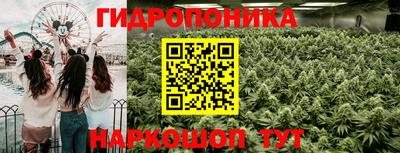 спиды Бийск