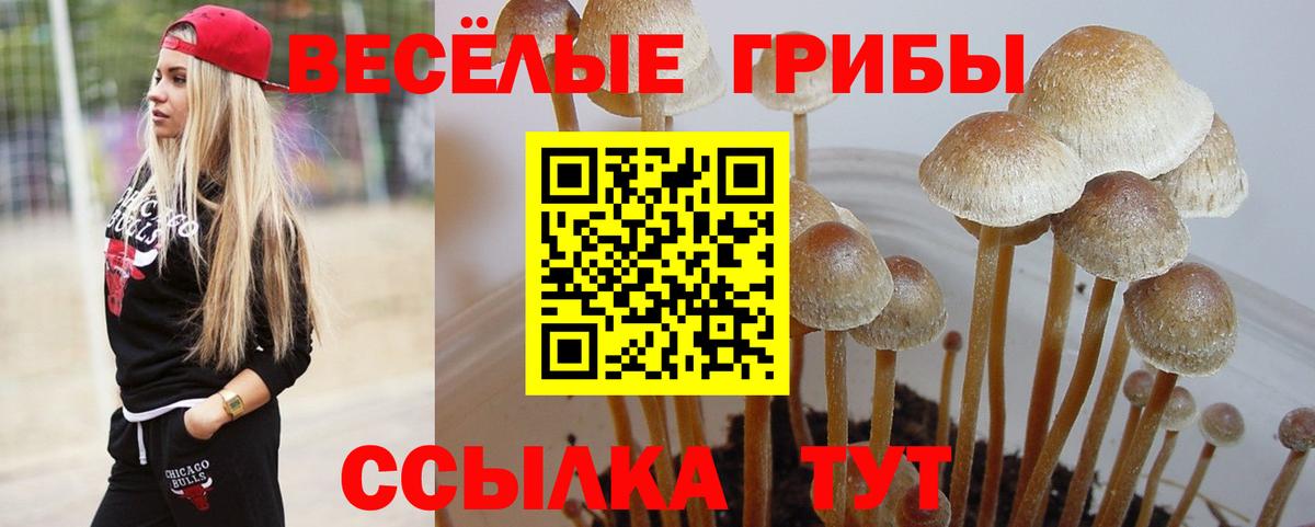 Псилоцибиновые грибы прущие грибы Волжск